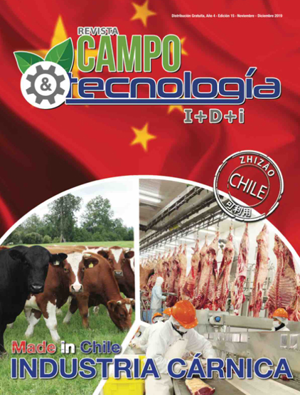 NOVIEMBRE-DICIEMBRE-2019