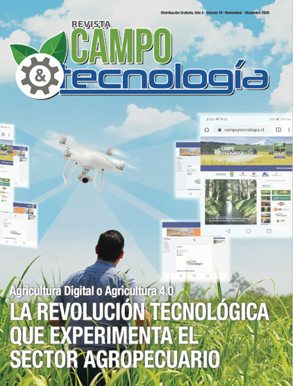 NOVIEMBRE-DICIEMBRE-2020