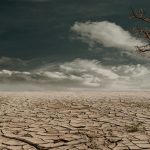 Desertificación