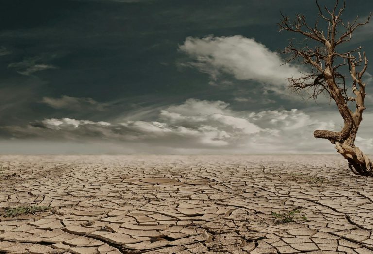 Desertificación