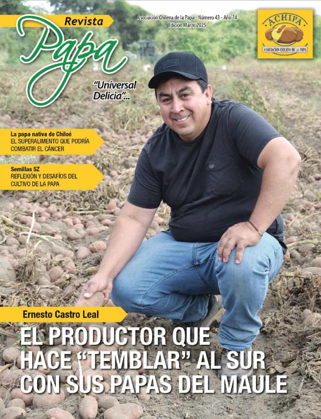 achipamarzo