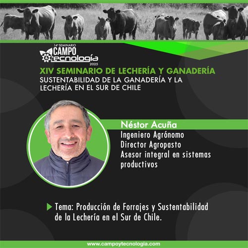 nestor