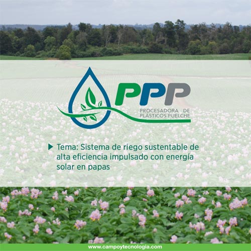 ppp